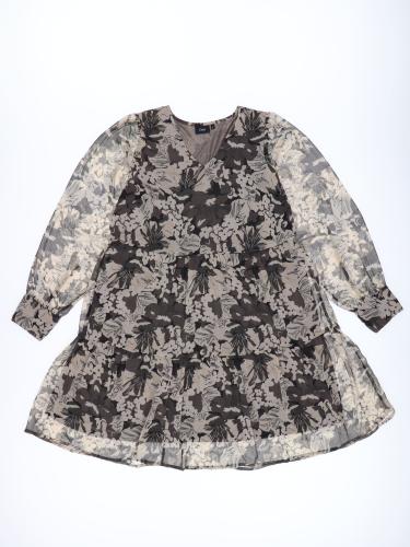 12896 (1) Zizzi