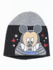 1645 (1) Disney